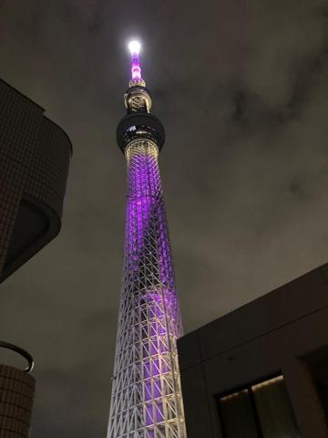 Sky Tree INN Ⅱ（晴樹宿Ⅱ） 東京