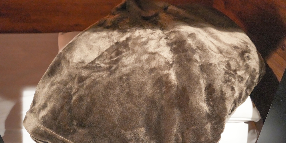 レンブラントキャビン & スパ新橋 東京