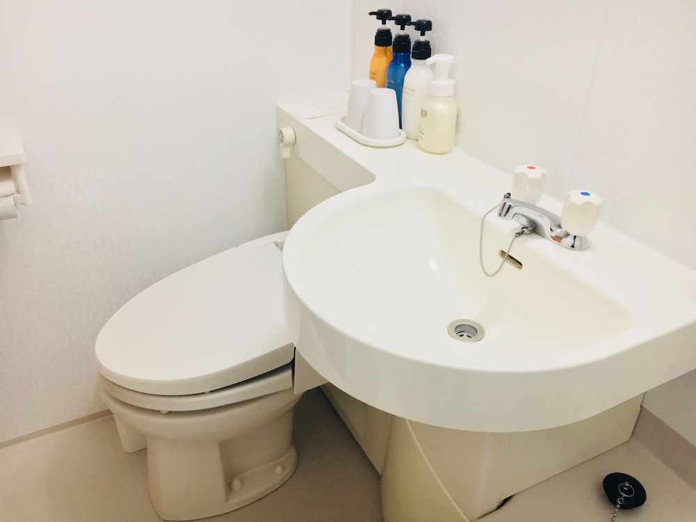 上野 東金屋ホテル 東京