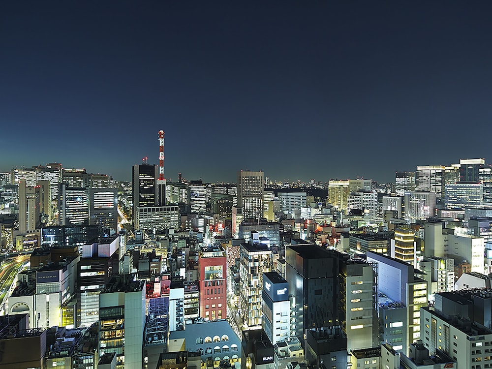 三井ガーデンホテル銀座プレミア 東京