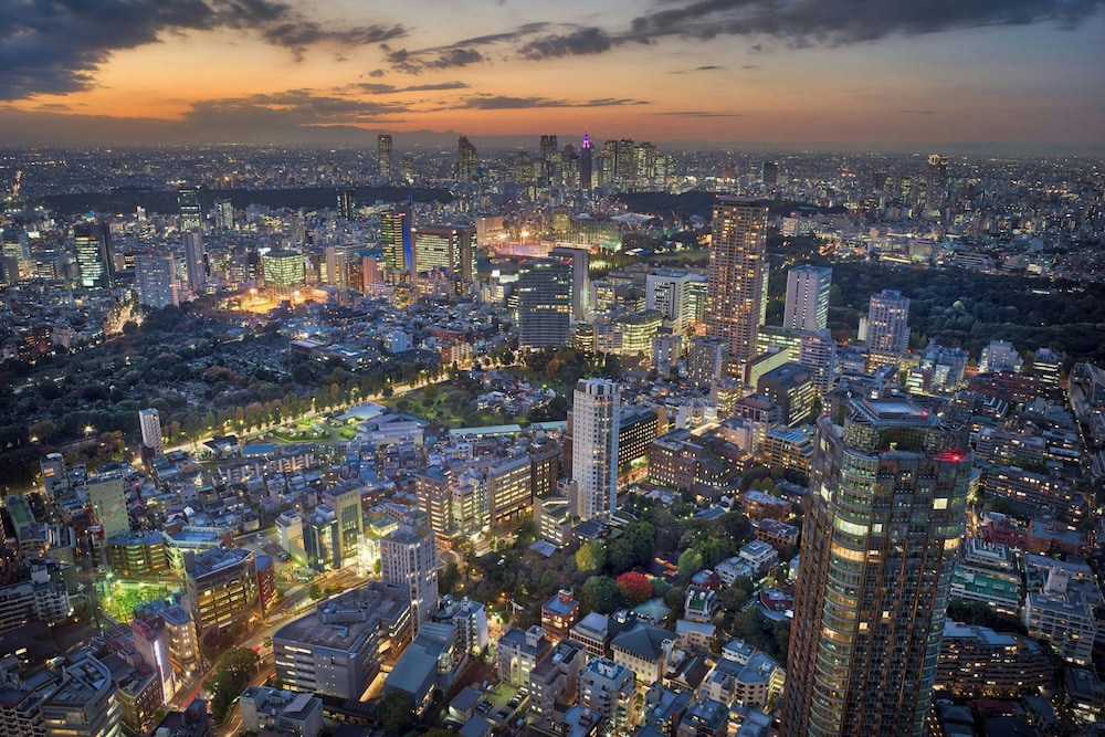 ザ・リッツ・カールトン東京 東京
