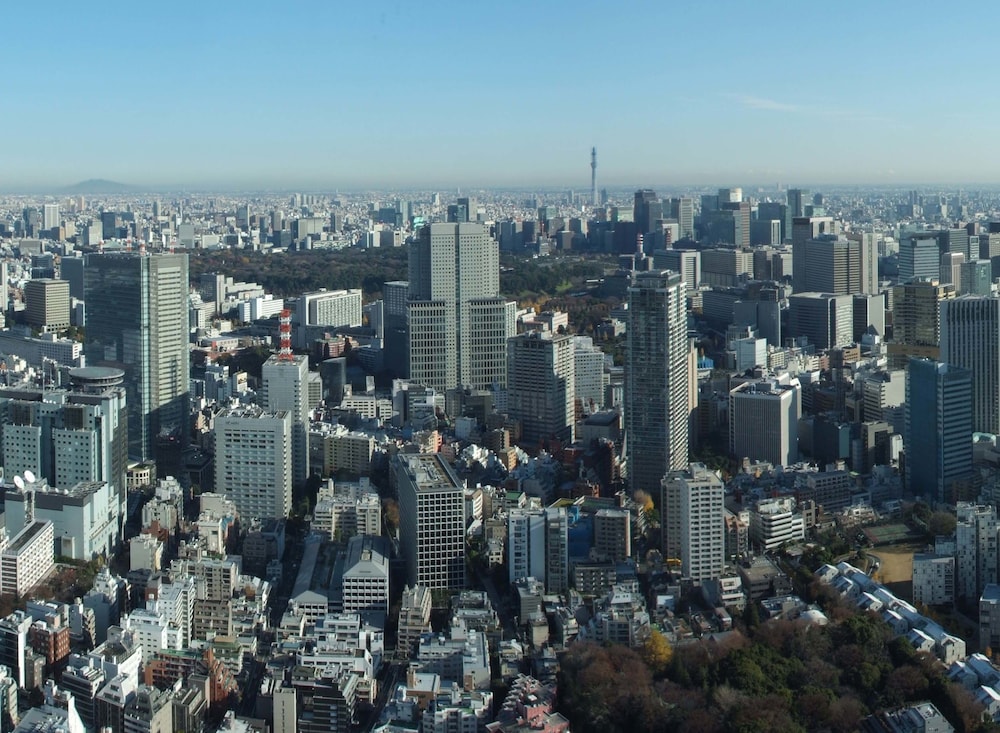 ザ・リッツ・カールトン東京 東京