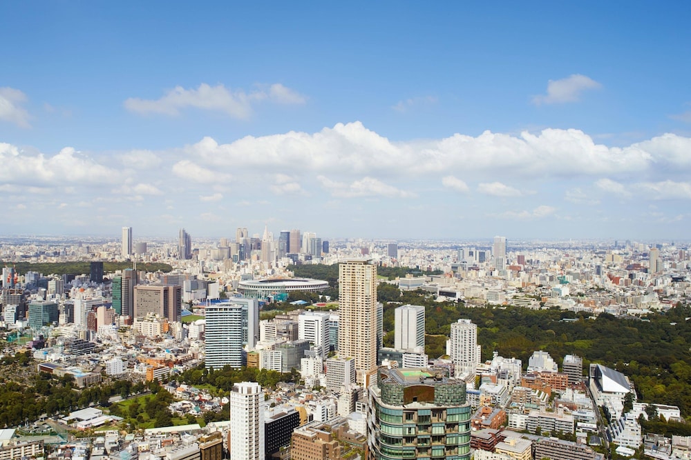 ザ・リッツ・カールトン東京 東京