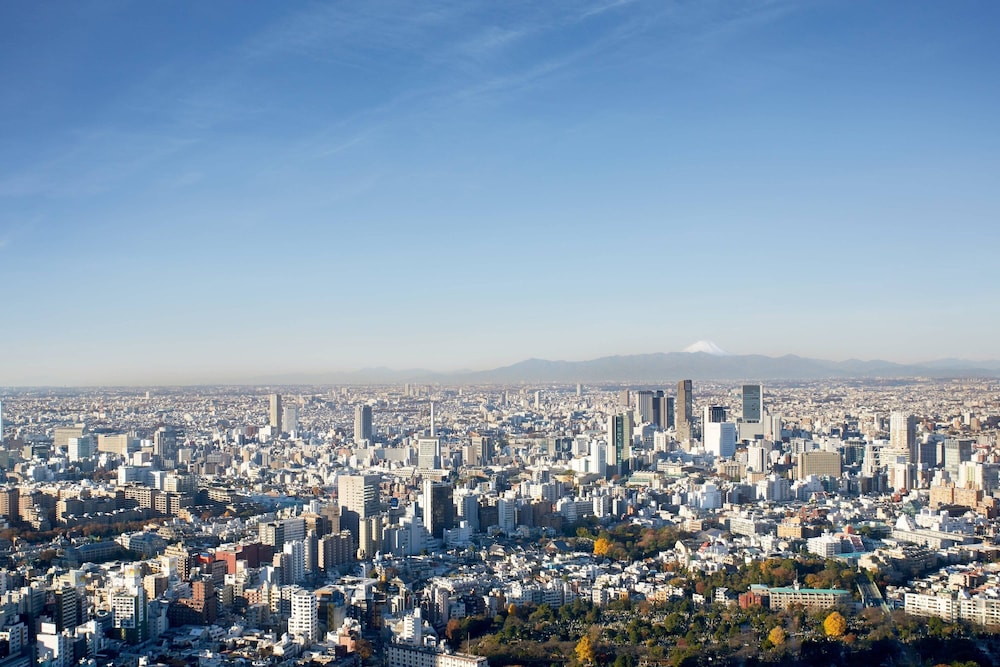 ザ・リッツ・カールトン東京 東京