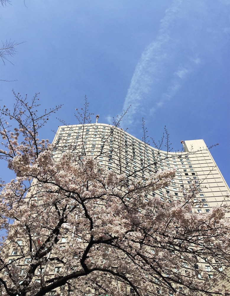 ヒルトン東京 東京