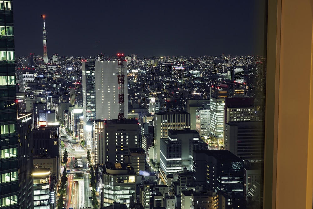 ザ ロイヤルパークホテル アイコニック 東京汐留 東京