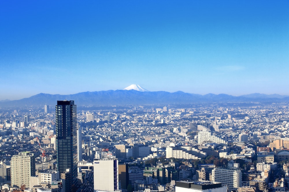 セルリアンタワー東急ホテル 東京