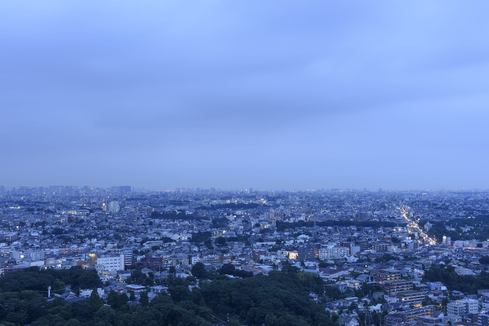 二子玉川エクセルホテル東急 東京