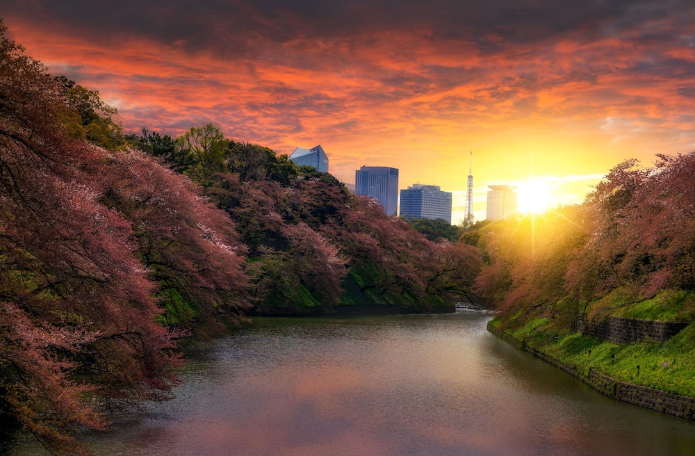 メルキュール 東京銀座 東京