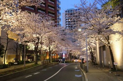 1/3RD RESIDENCE サービスアパートメント 赤坂 東京