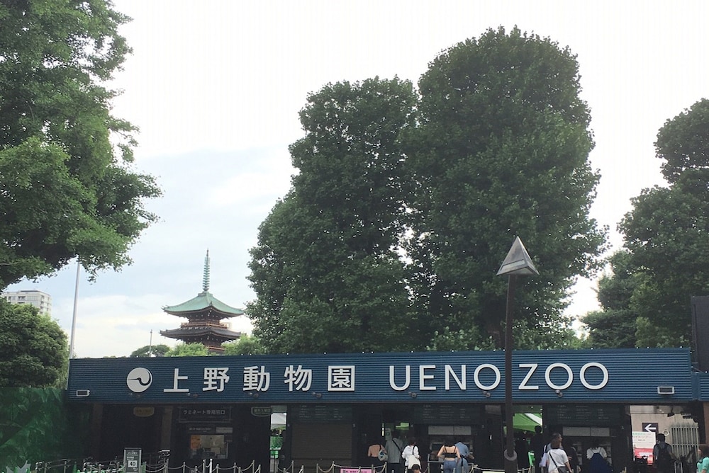 アパホテル〈御徒町駅北〉 S 東京