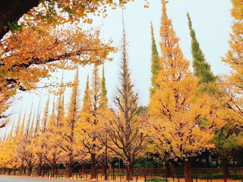 ホテルアラマンダ青山 東京