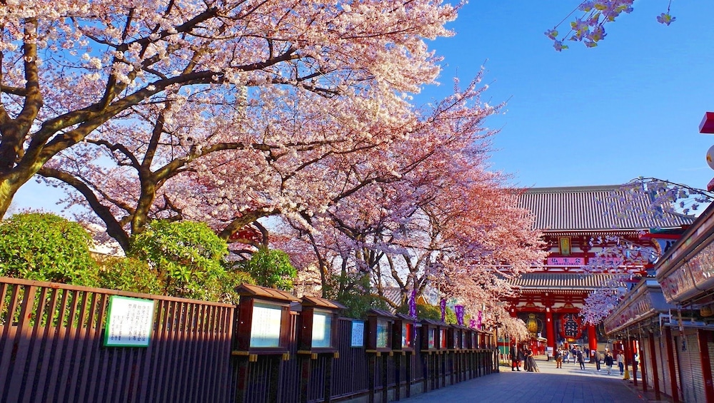 アパホテル〈TKP日暮里駅前〉 東京