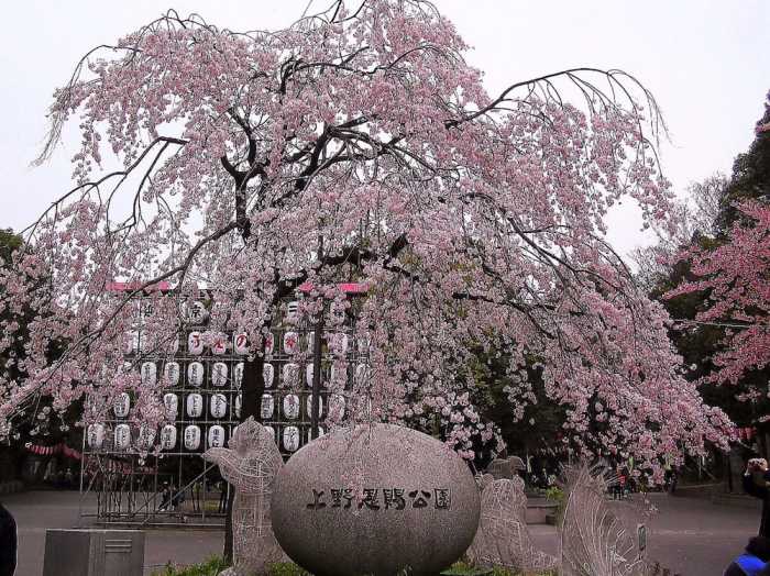 雅宿　竹峰 東京