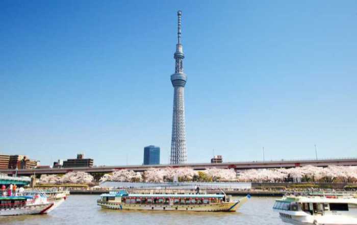雅宿　竹峰 東京