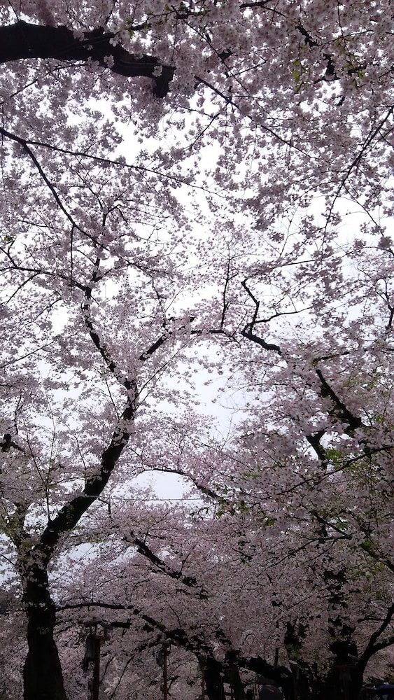 相鉄フレッサイン御茶ノ水神保町 東京