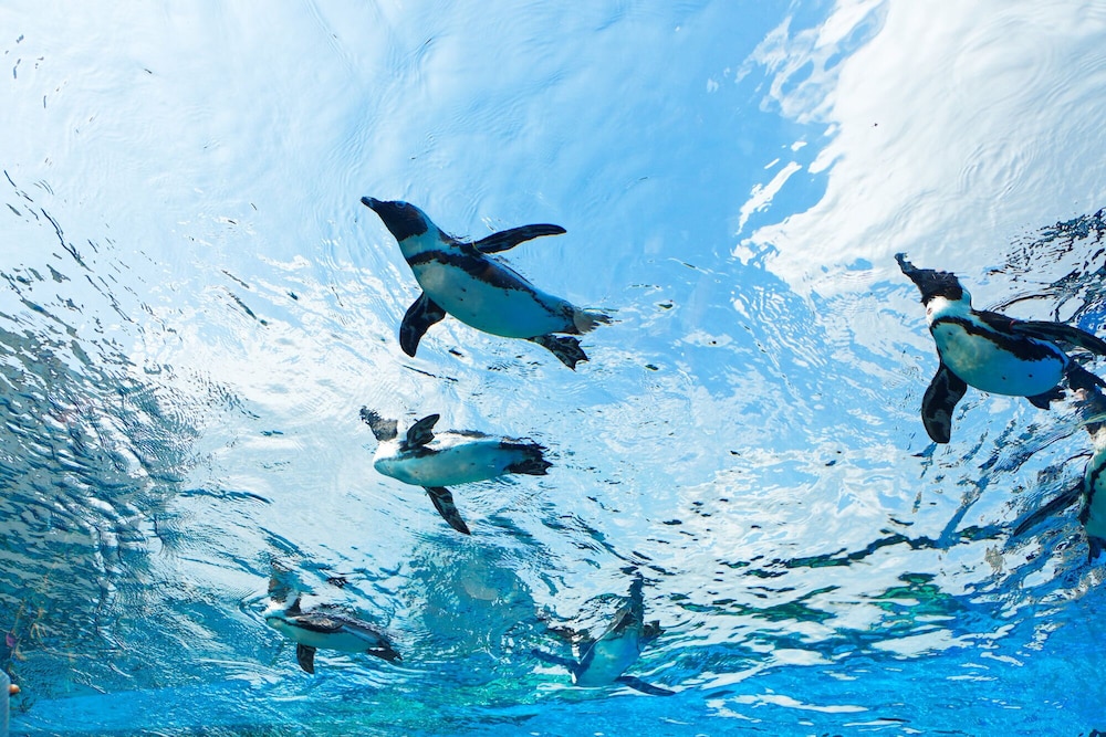 TABIST ホテルテトラ池袋 東京