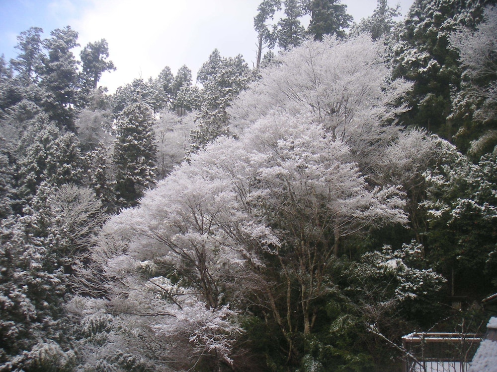 駒鳥山荘 東京