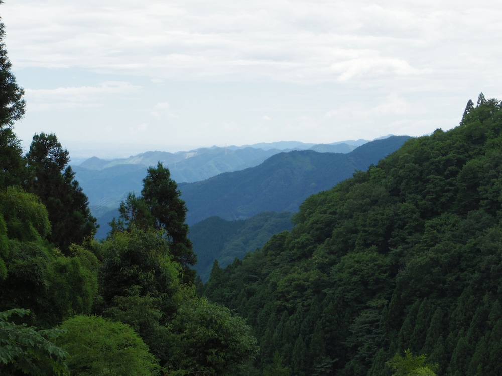 駒鳥山荘 東京