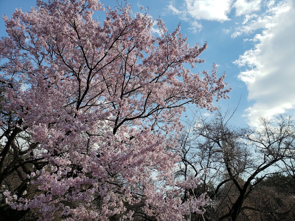 アパホテル〈東新宿歌舞伎町〉 東京