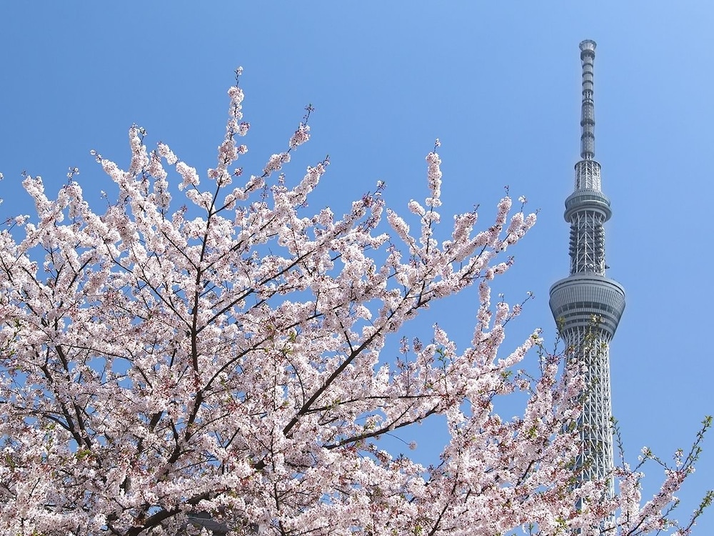 桜 スカイ ホテル 東京