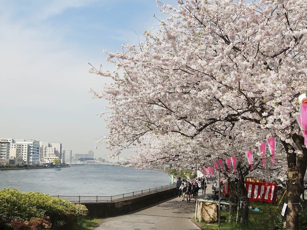 桜 スカイ ホテル 東京