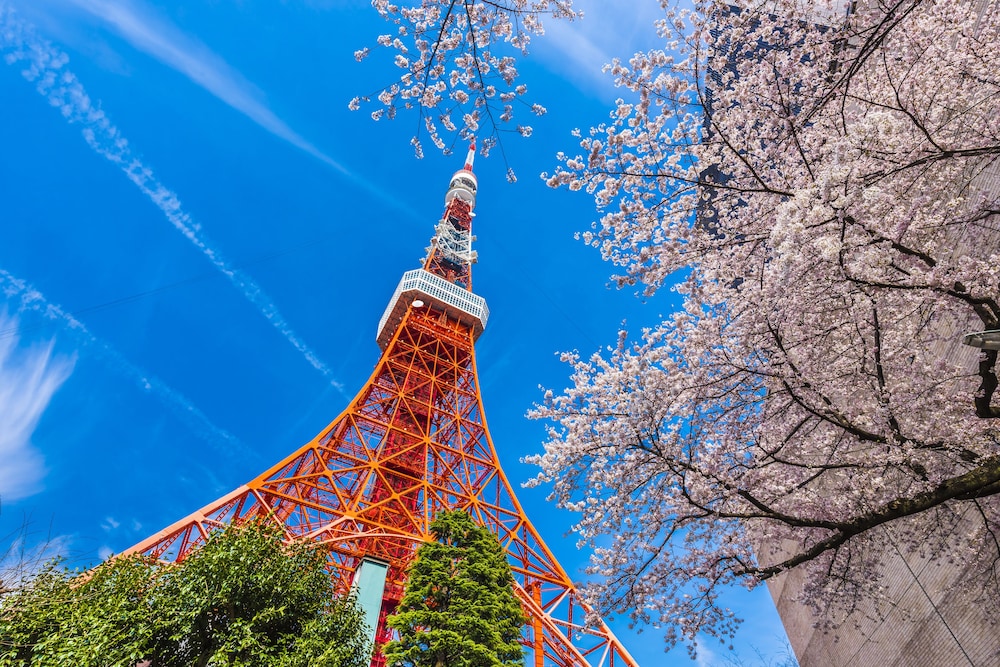 カンデオホテルズ東京新橋 東京