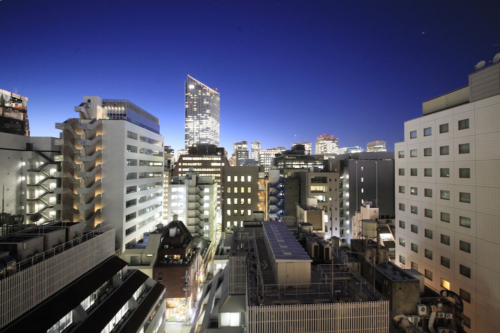 カンデオホテルズ東京新橋 東京