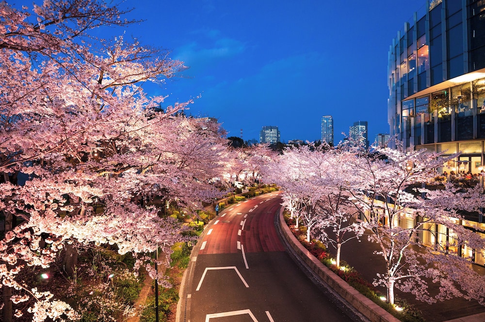 MIMARU 東京 赤坂 東京