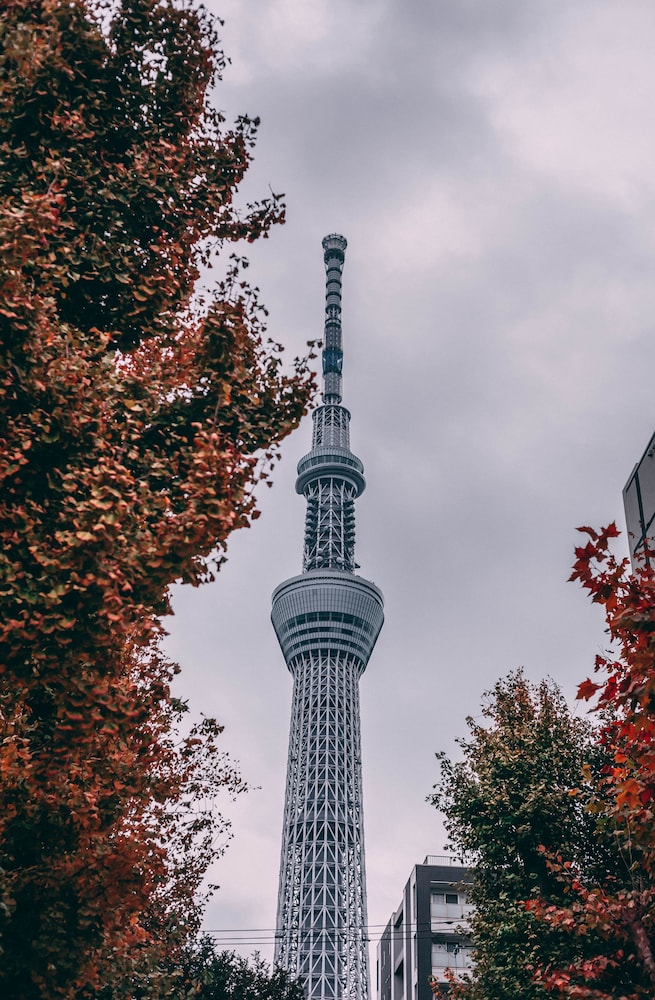 ザ・ミレニアルズ渋谷 東京