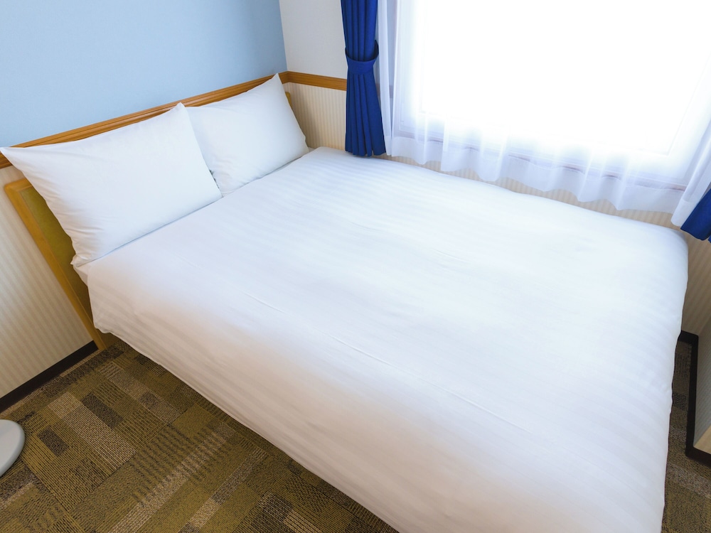 東横 INN 東京駅新大橋前 東京