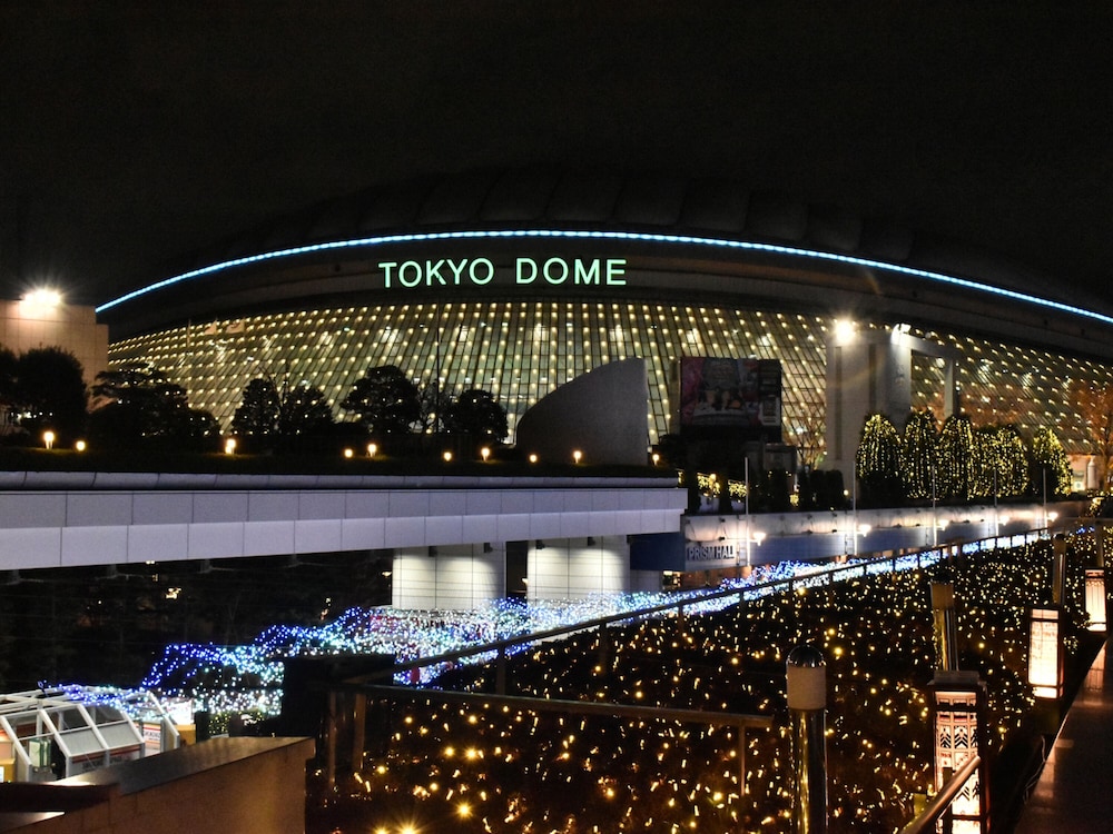 東横 INN 東京駅新大橋前 東京