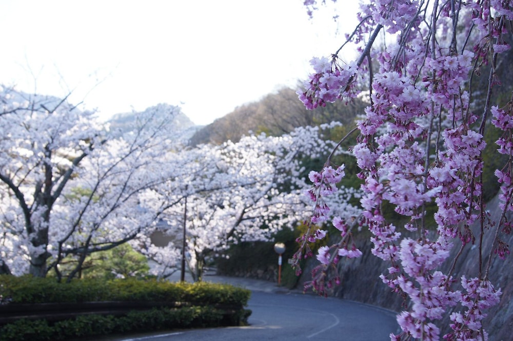 銀水荘別館 兆楽 神戸