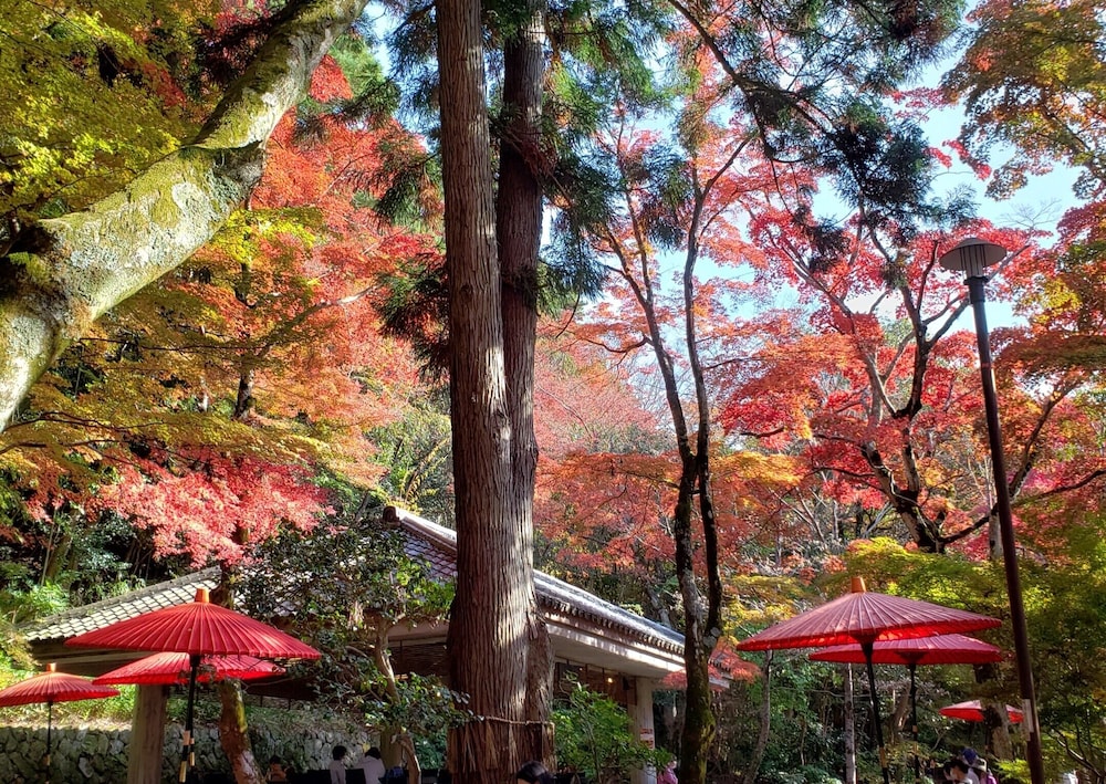 陶泉 御所坊 神戸