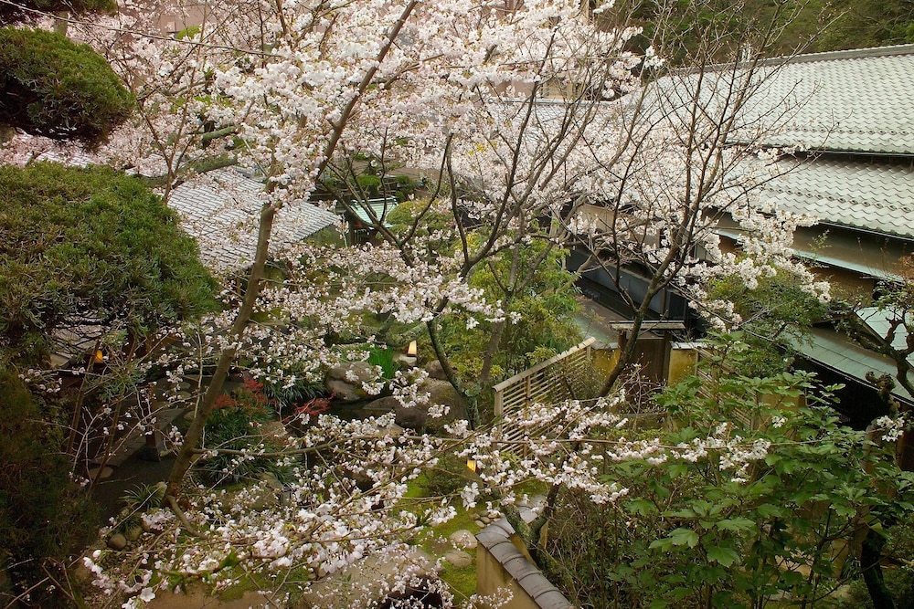 陶泉 御所坊 神戸