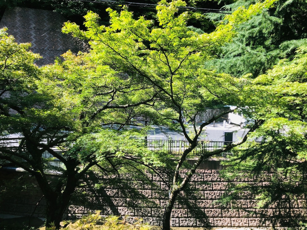 陶泉 御所坊 神戸
