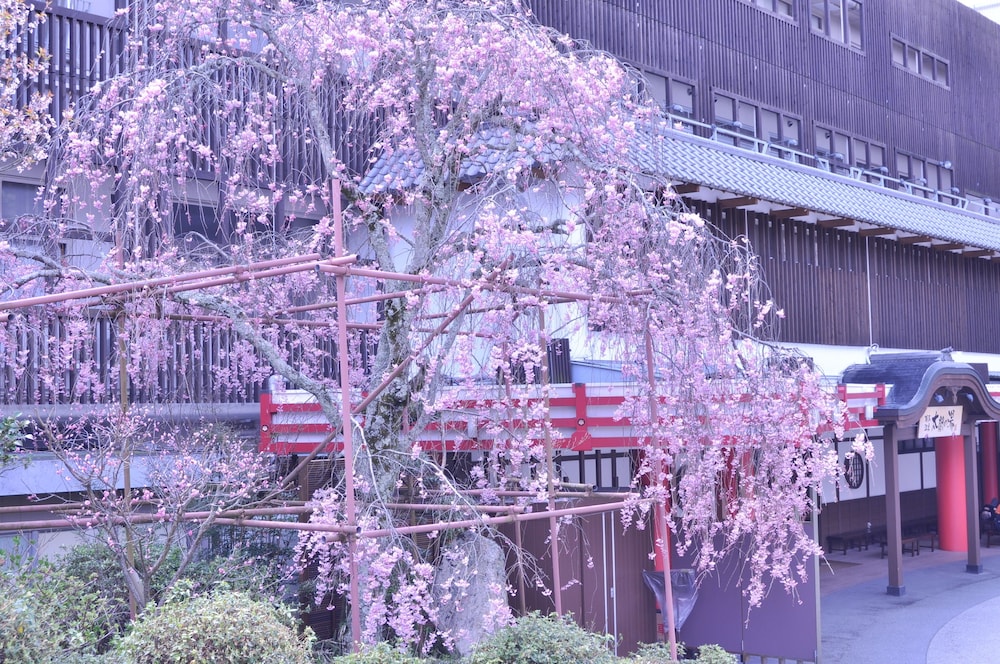 有馬きらり 神戸