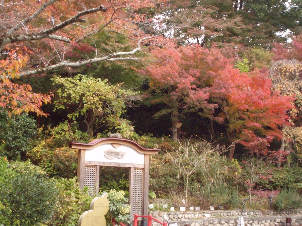 有馬きらり 神戸