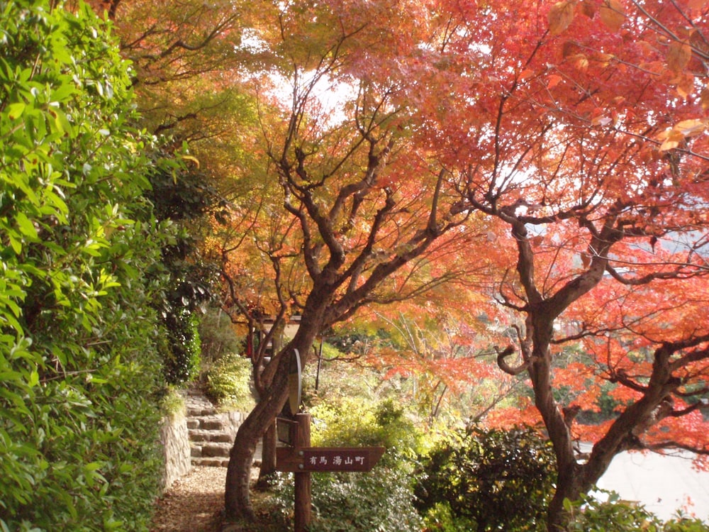 有馬きらり 神戸