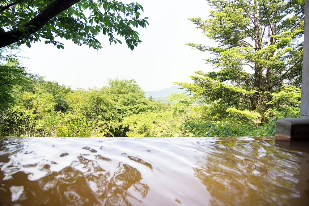 神戸有馬温泉 元湯 龍泉閣 神戸