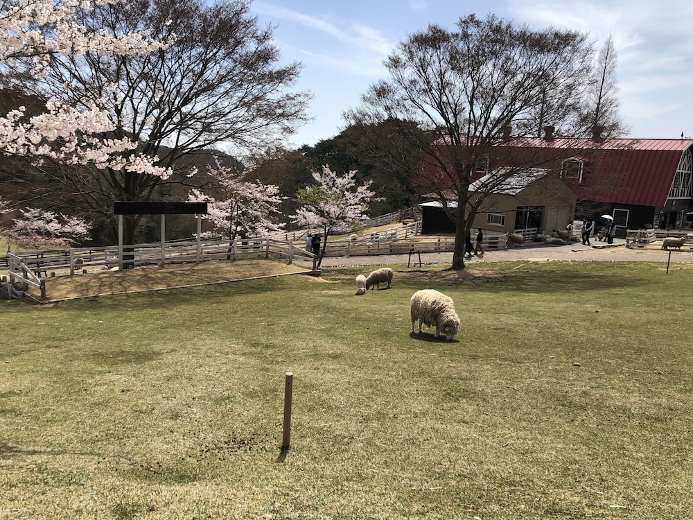 スマイルホテル神戸元町 神戸