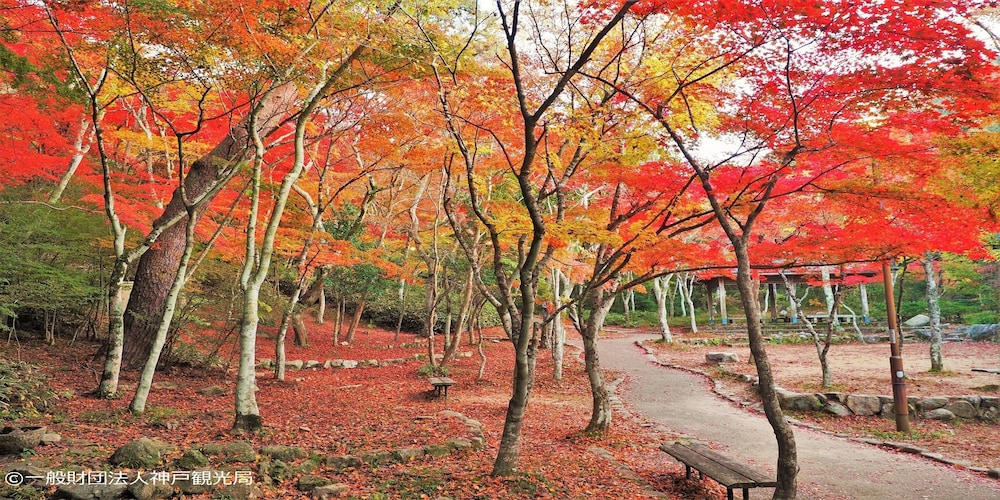 亀の井ホテル 有馬 神戸