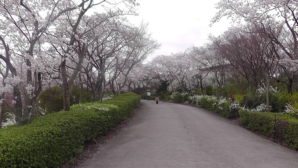日光園 神戸