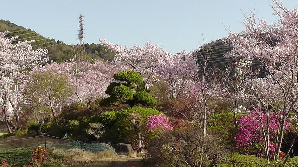 日光園 神戸