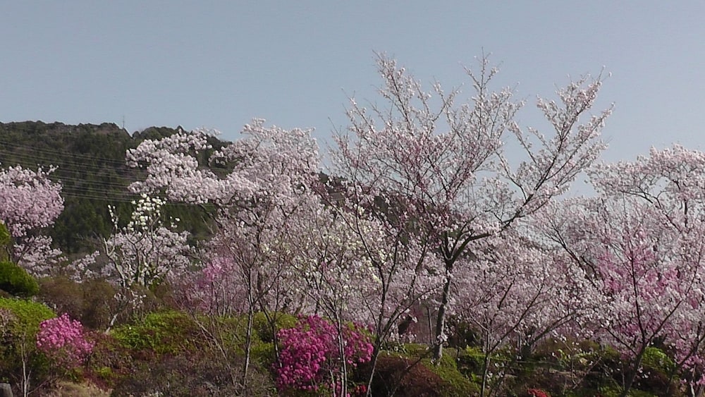 日光園 神戸