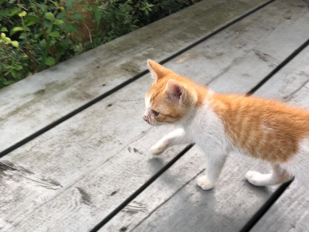 LA TERRASSE AWAJI 神戸