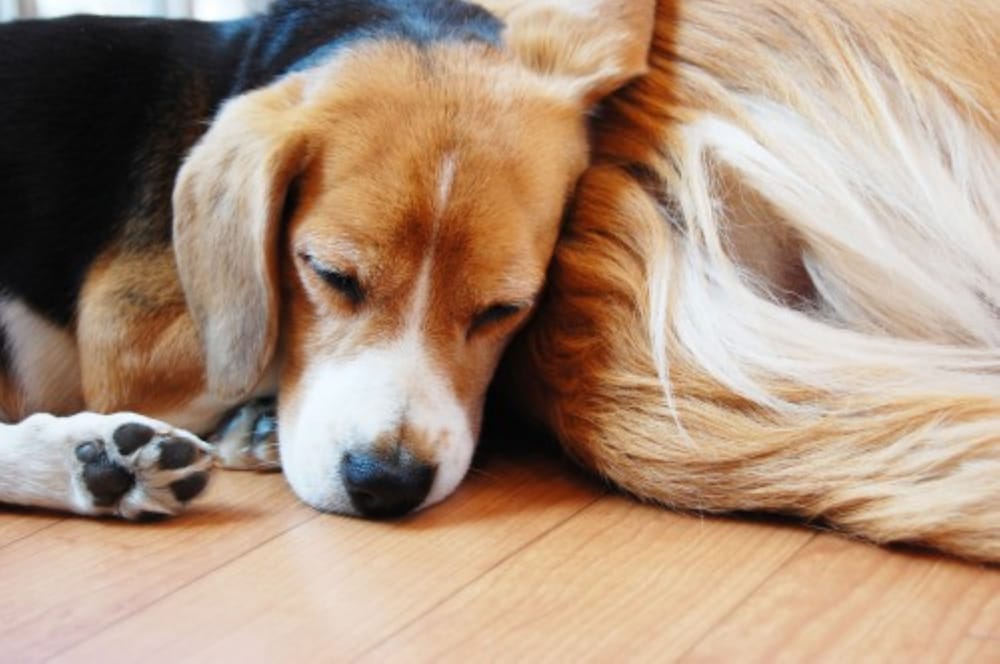 KAMOME SLOW HOTEL 神戸