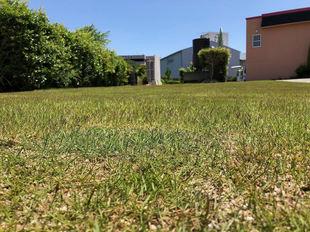 淡路島ホテル・ロッジ GREEN COZY 神戸