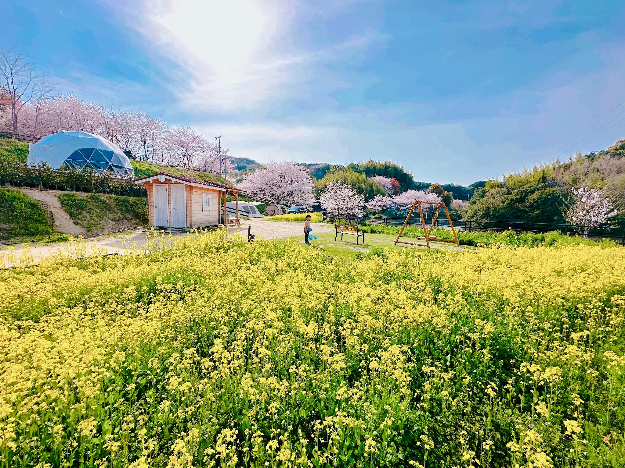 MOUNTLAKE RESORT 神戸