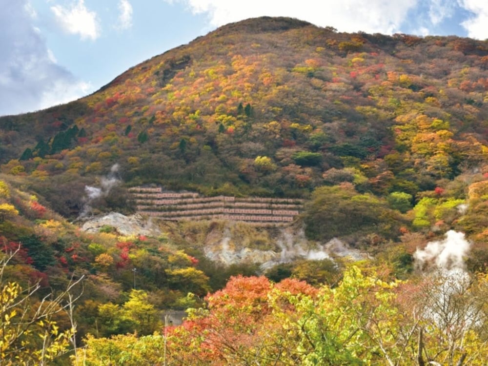 箱根湯の花プリンスホテル 箱根